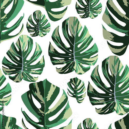 Tropical monstera leaves seamless pattern white background