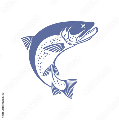 trout  fish