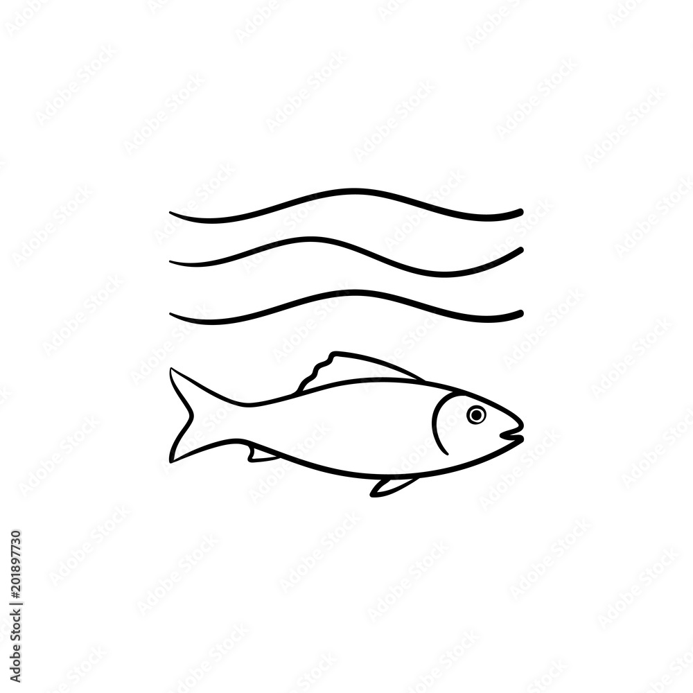 Fish Drawing  How To Draw A Fish Step By Step