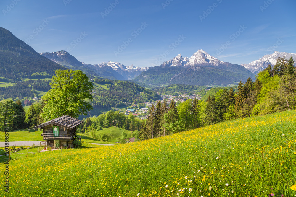 Idyllic mountain scenery with traditional mountain chalet in the Alps in summer
