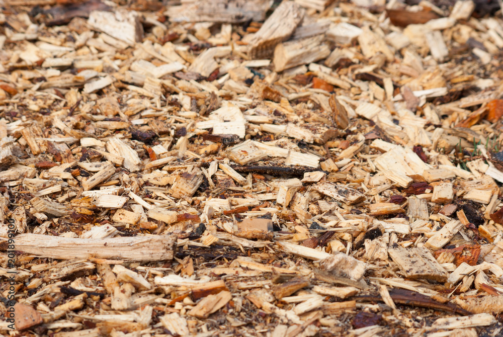 Stack of different wood Stack of different wood