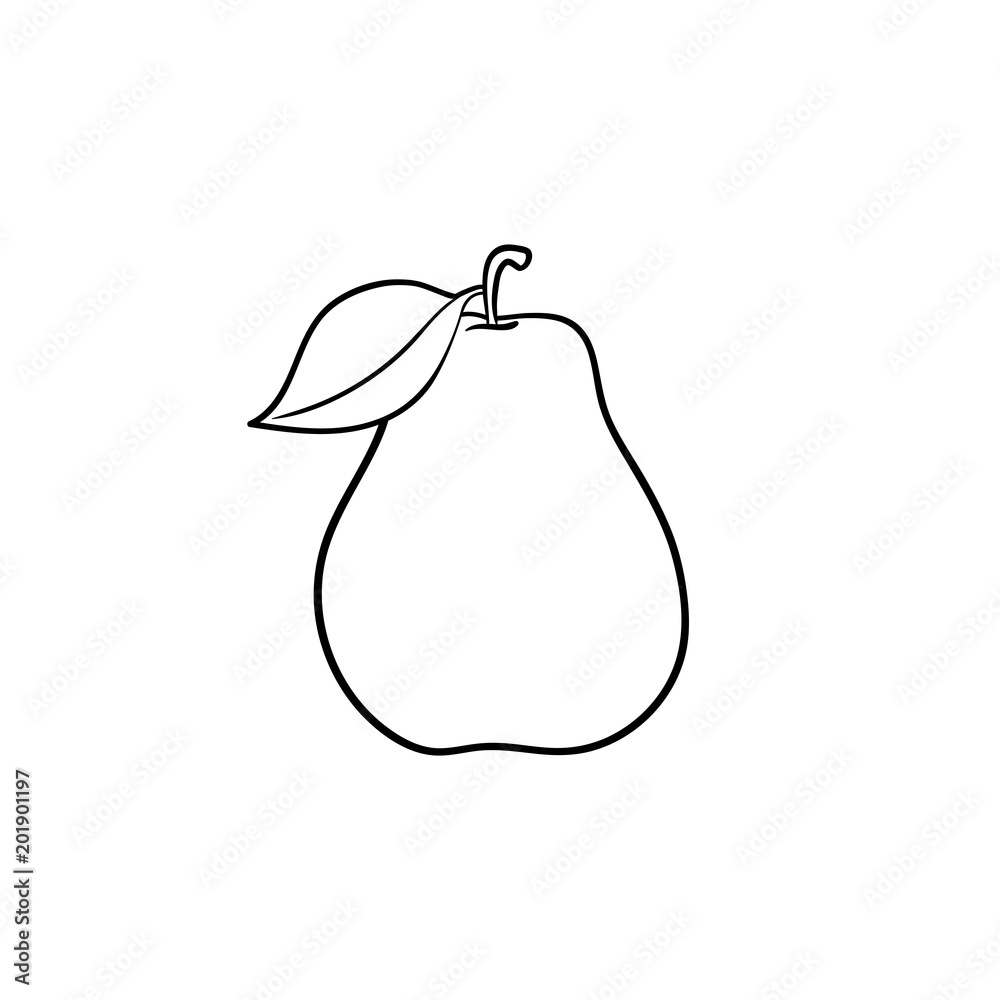 Pear fruit hand drawn outline doodle icon. Fresh healthy fruit - pear vector sketch illustration for print, web, mobile and infographics isolated on white background. Pear fruit hand drawn outline doodle icon. Fresh healthy fruit - pear vector sketch illustration for print, web, mobile and infographics isolated on white background.