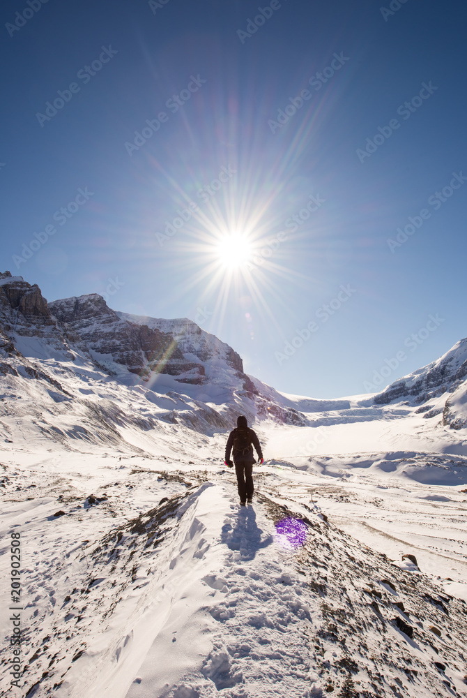 Young man hiking at Athabasca Glacier Young man hiking at Athabasca Glacier