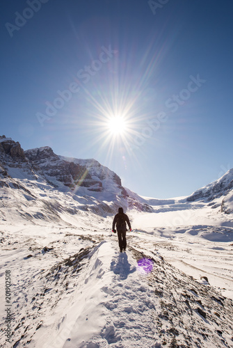 Young man hiking at Athabasca Glacier