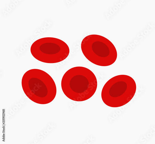 Red blood cells, erythrocytes