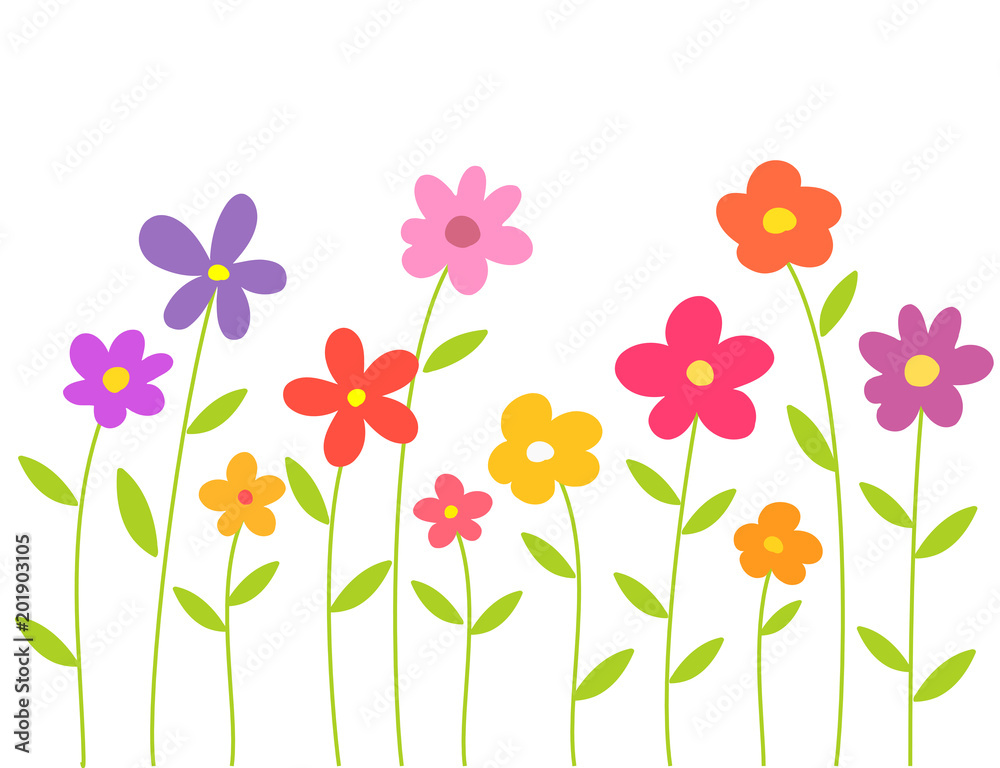Colorful flowers growing isolated