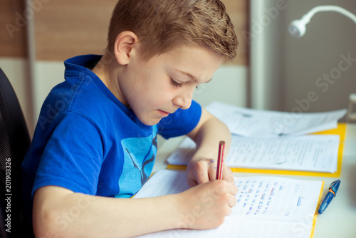 Intelligent boy makes homework in his room