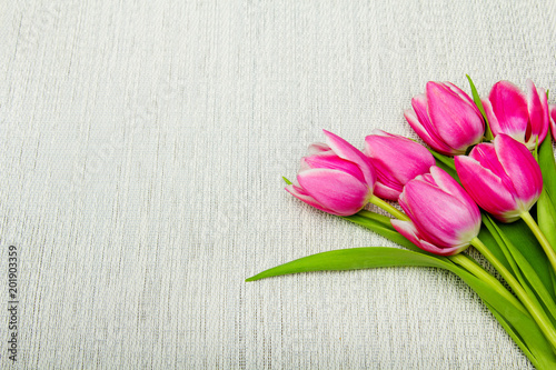Fototapeta Naklejka Na Ścianę i Meble -  Pink tulip bouquet on light background, copy space