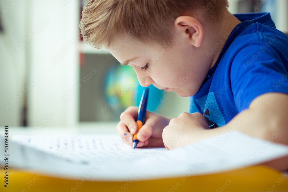 Intelligent boy makes homework in his room Intelligent boy makes homework in his room