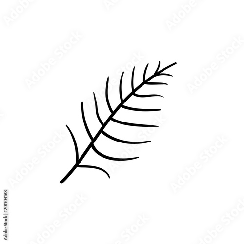 Fern leaf hand drawn outline doodle icon. Vector sketch illustration of fern leaf for print  web  mobile and infographics isolated on white background.