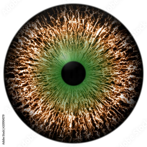 Sharp scary and colorful eye iris