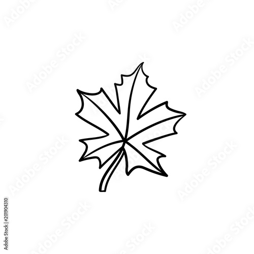 Maple leaf hand drawn vector outline doodle icon. Vector sketch illustration of maple leaf for print, web, mobile and infographics isolated on white background.