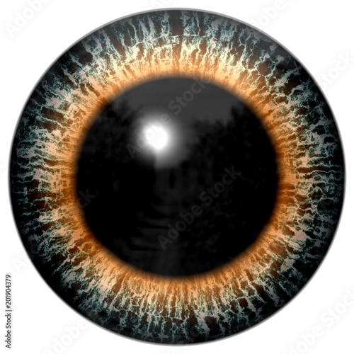 Sharp scary and colorful eye iris