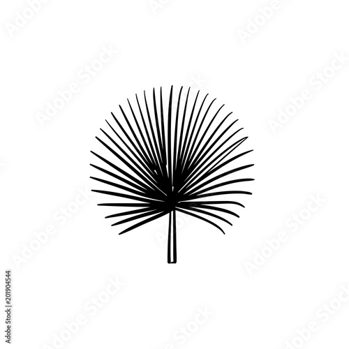 Spiky palm leaves hand drawn vector outline doodle icon. Palm leaves vector sketch illustration for print  web  mobile and infographics isolated on white background.