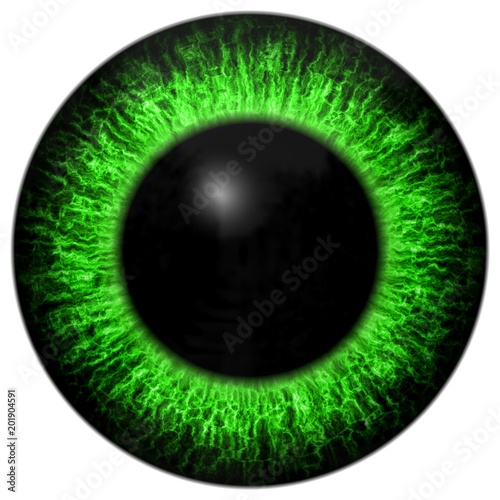 Sharp scary and colorful eye iris