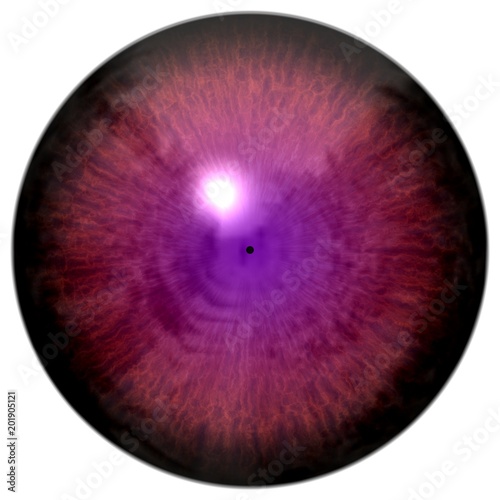 Sharp scary and colorful eye iris