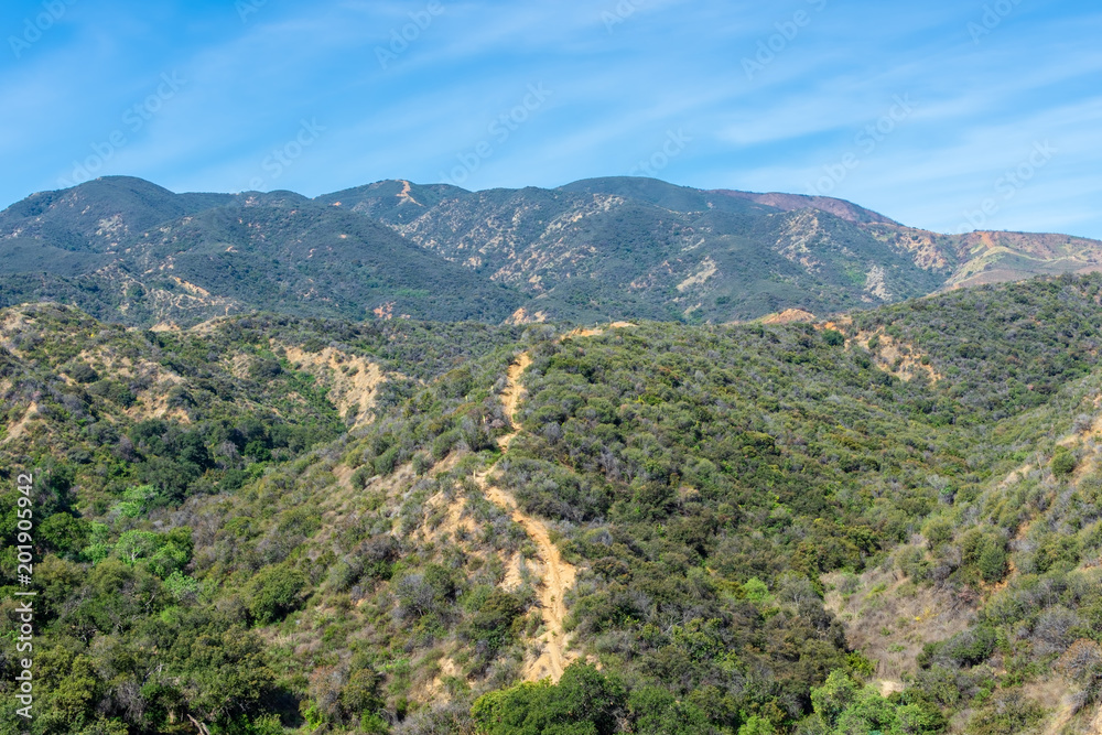 Hillsides recover from recent wildfires in Southern California