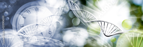 abstract image of clock and genetic chain photo