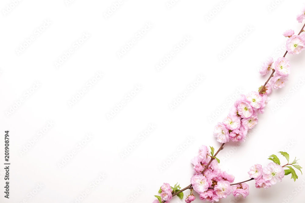 Bunch of spring flowering branches with a lot of pink blossoms and green leaves on blank white background. Rustic composition w/ spring flowers for Women's Mother's day. Close up, copy space, top view