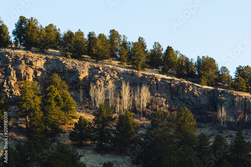 Photography Deer on the Mountainside