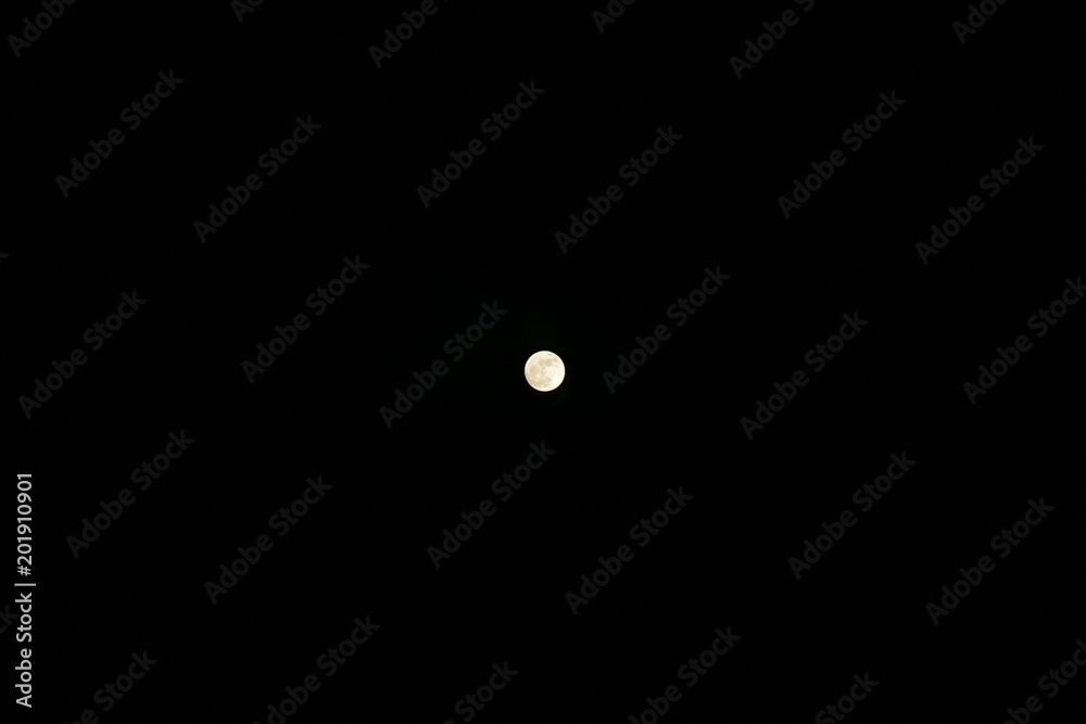 moon moon