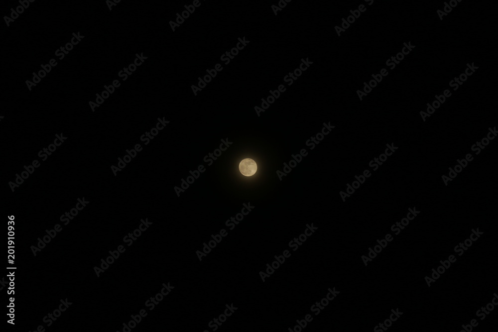 moon moon