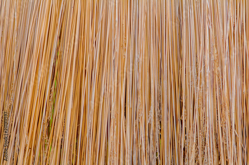 straw texture of the roof background design