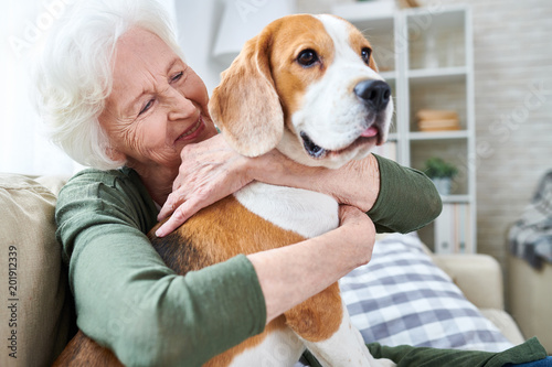 Cheerful retired senior woman with wrinkles smiling while embracing her Beagle dog and enjoying time with pet at home photo