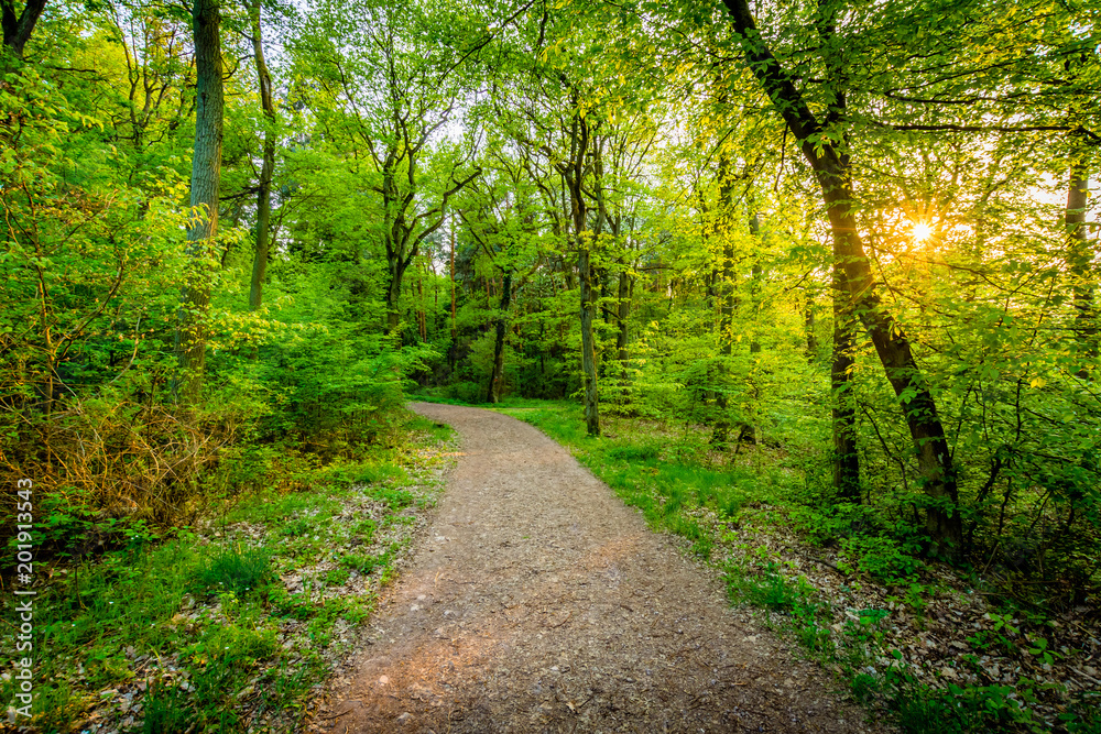 Wander-Lust - Germany Wander-Lust - Germany