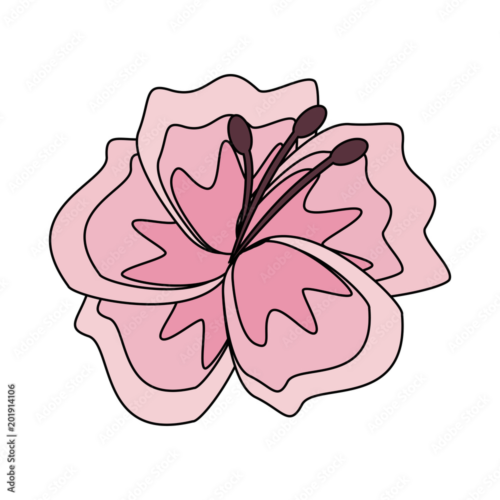 Beautiful flower symbol vector illustration graphic design