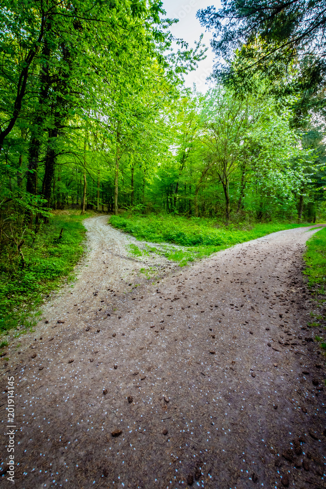 Wander-Lust - Germany