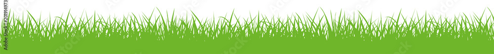 Vector green gras silhouette - stock vector. - obrazy, fototapety, plakaty 
