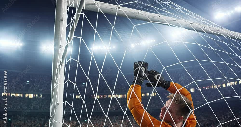 Soccer goalkeeper jumps and fails to catch ball on a professional