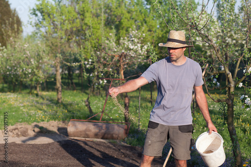 Planting a new lawn.