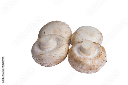White mushrooms protein isolate on white background. Without a shadow