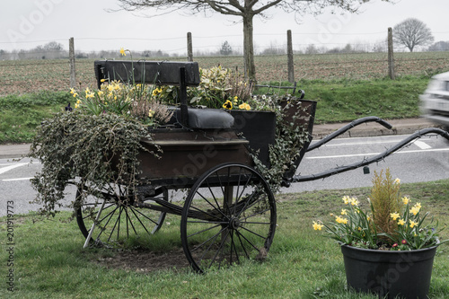 Rustic scene: missed old brougham was used for gardening DIY as flower bed early spring rural landscape
