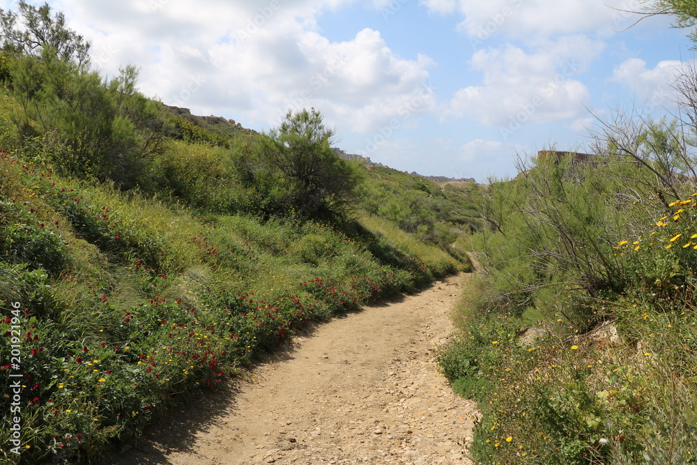 Hiking trails around Golden Bay at the Mediterranean sea, Malta Hiking trails around Golden Bay at the Mediterranean sea, Malta