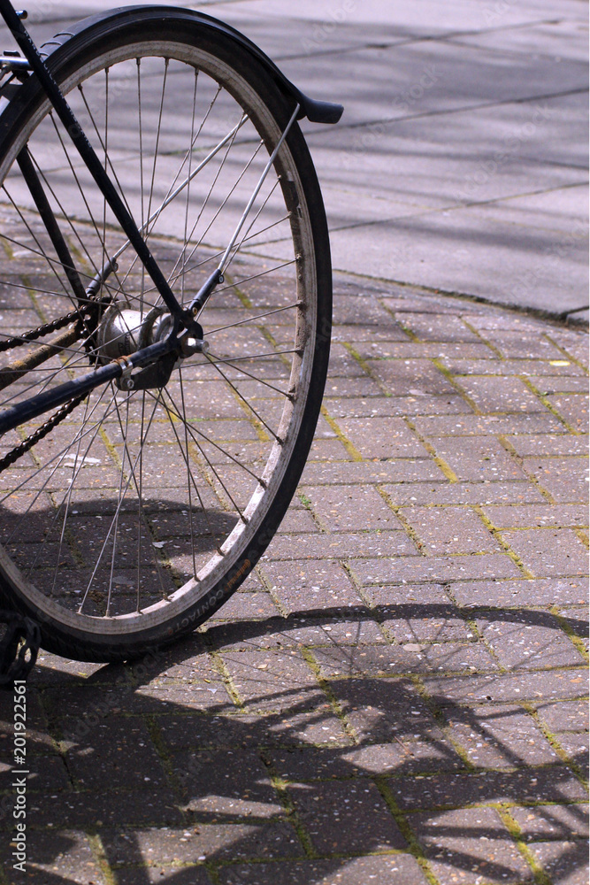 Obraz premium Bicycle wheel silouette