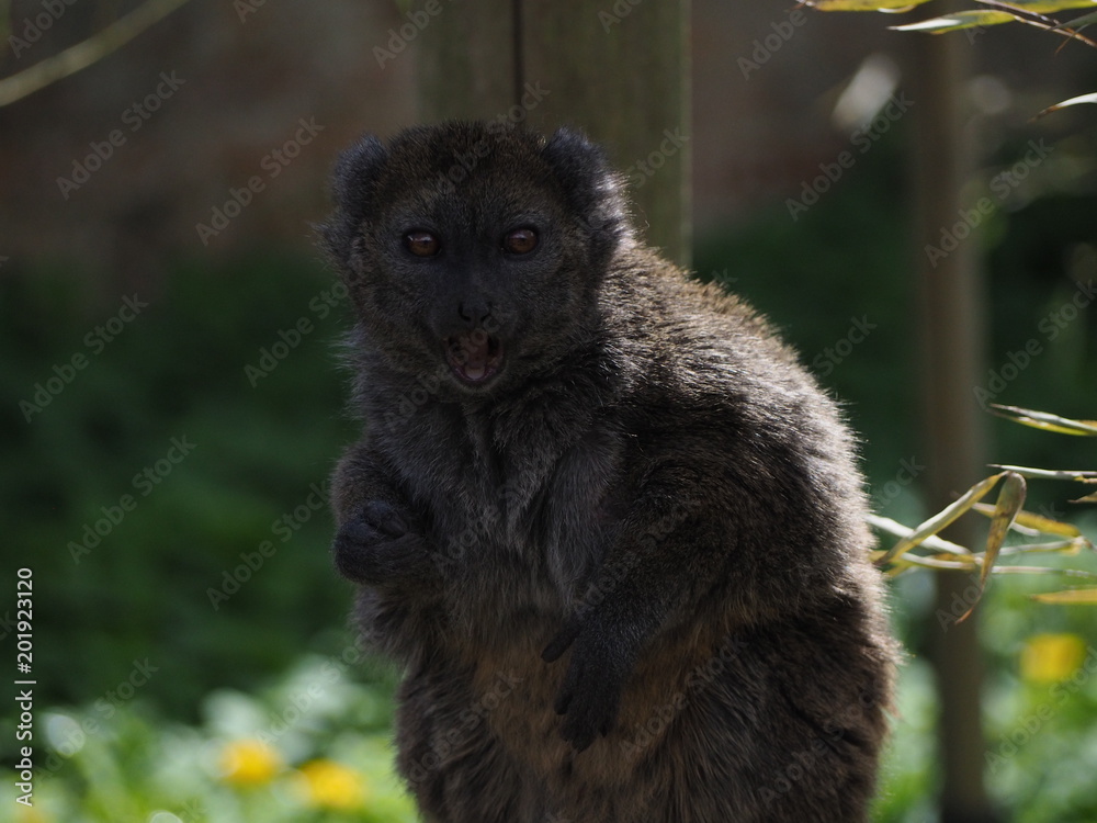 Obraz premium OLYMPUS DIGITAL CAMERA