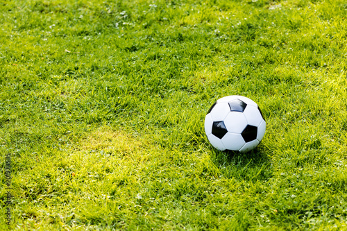 Fussball im Grass