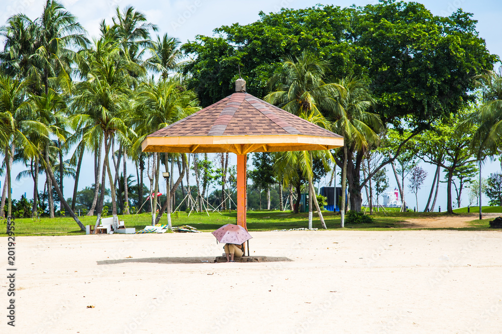 Fototapeta premium Singapore Umbrellas