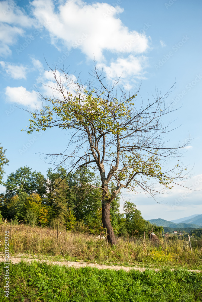 Beautiful nature and amazing sunny day Beautiful nature and amazing sunny day