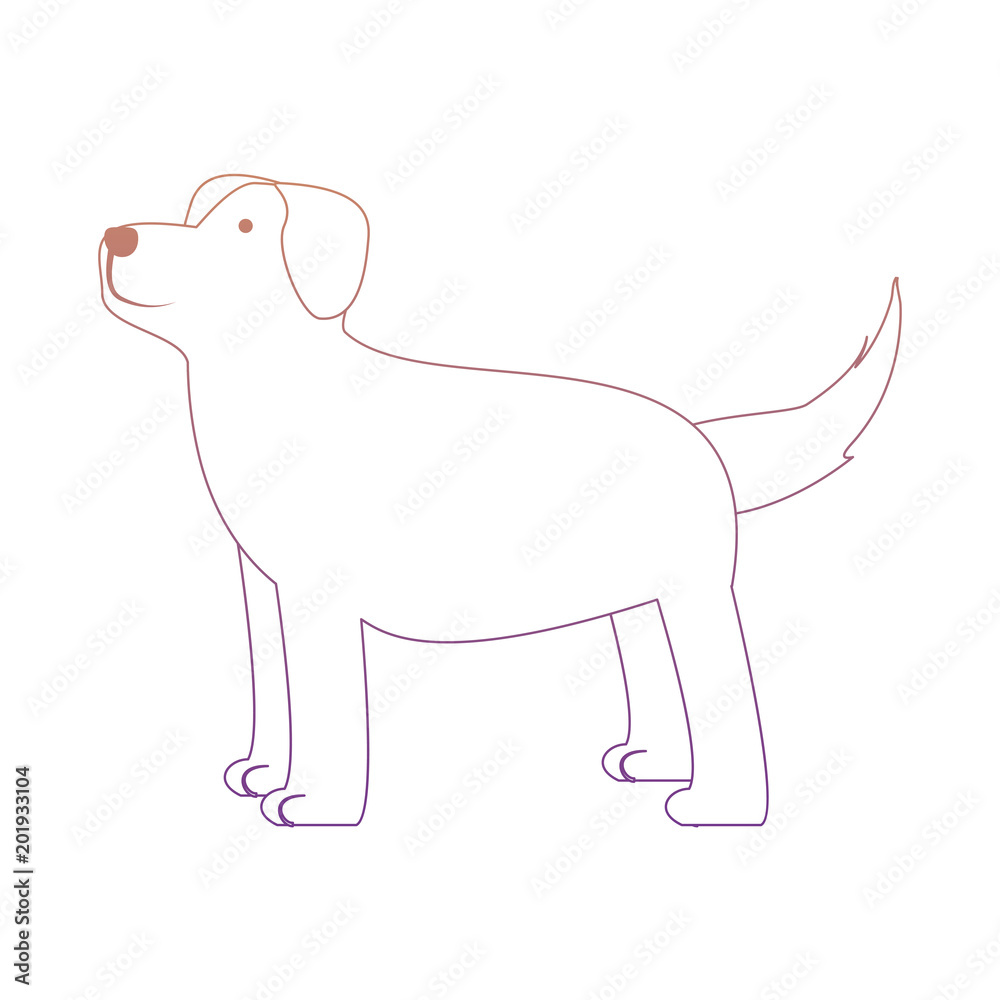 cute dog icon over white background, colorful line design. vector illustration