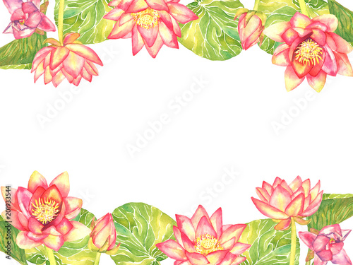 Horizontal lines frame greeting card design of pink lotus flowers on white background, hand painted watercolor illustration