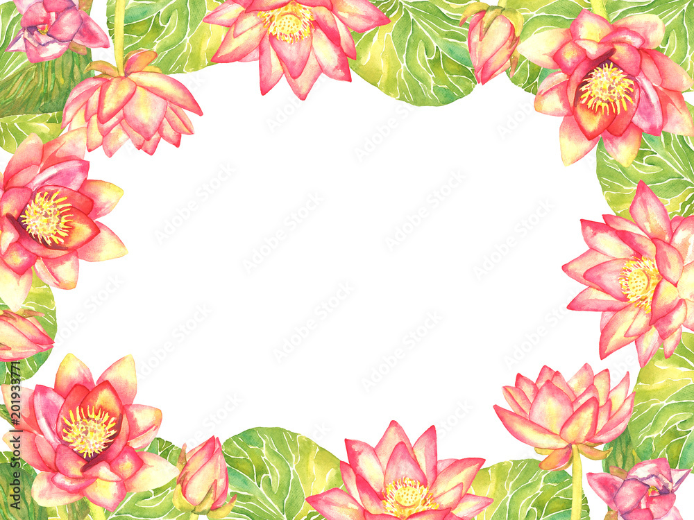 Horizontal frame greeting card design of pink lotus flowers on white background, hand painted watercolor illustration