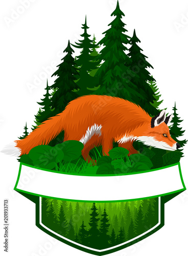 vector woodland emblem with red fox (Vulpes vulpes)