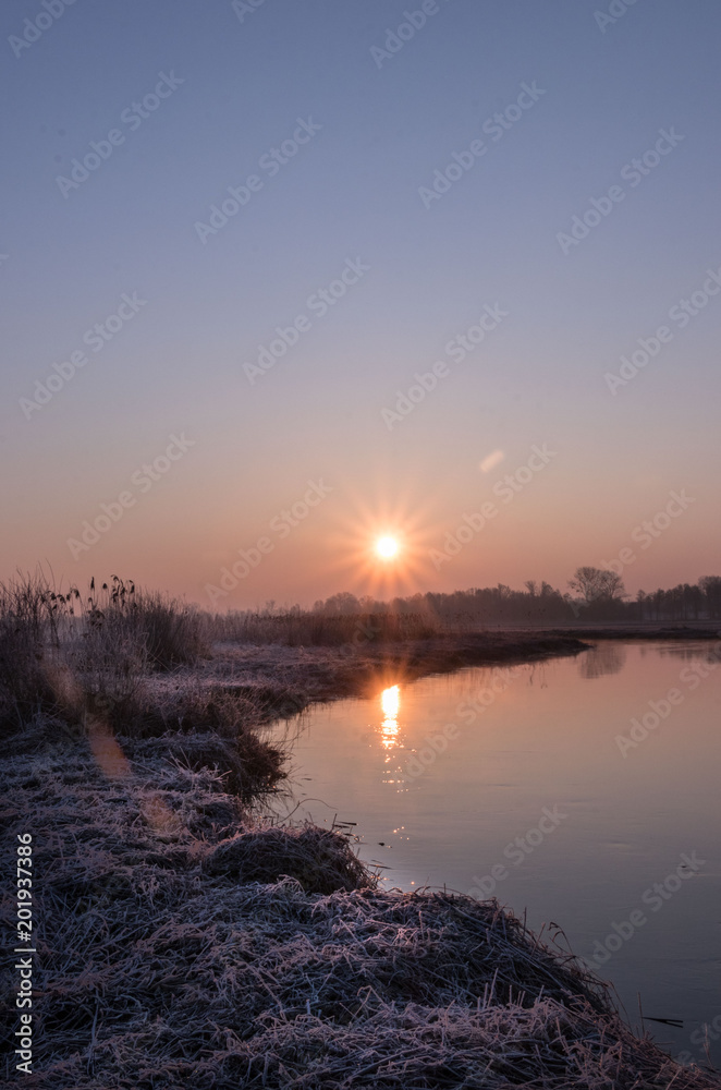 sunrise on the background of a winding wild river, its backwaters and backlit with reed promises, early spring sunrise on the background of a winding wild river, its backwaters and backlit with reed promises, early spring