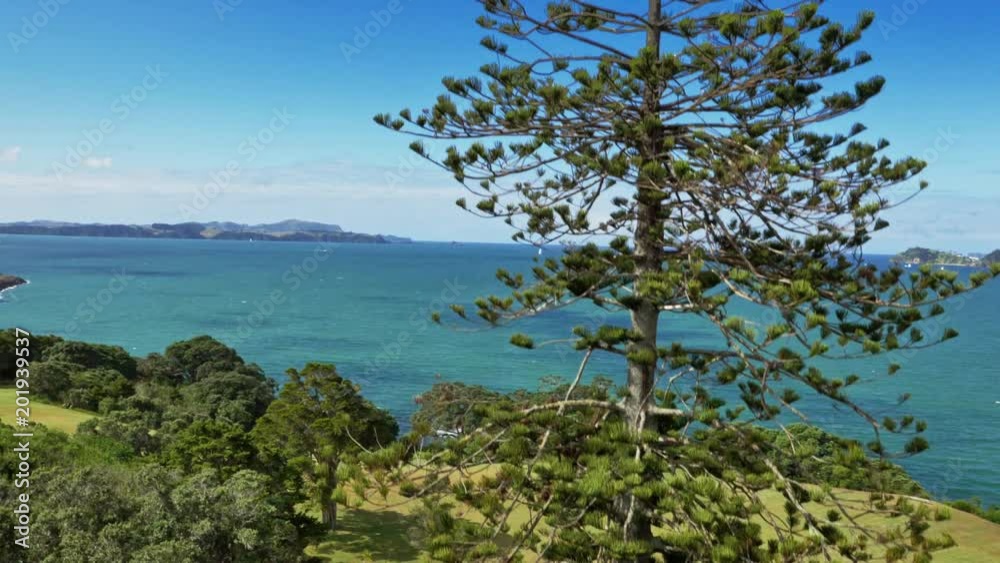 Drone shot of New Zealand coastline with tree in foreground. Drone shot of New Zealand coastline with tree in foreground.