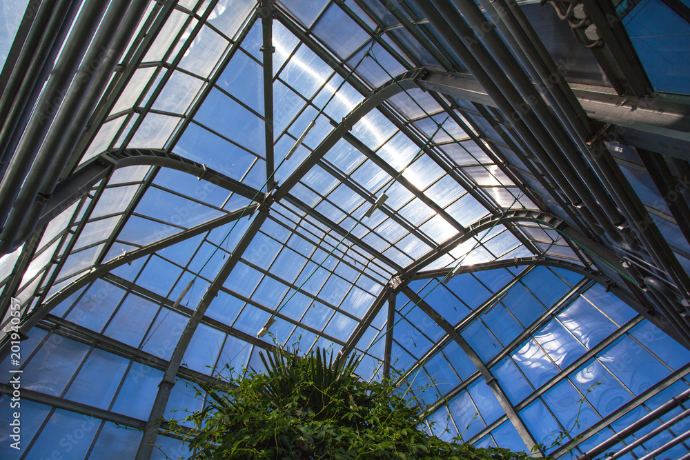 glass roof of the greenhouse