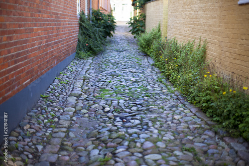 Callejón empedrado photo